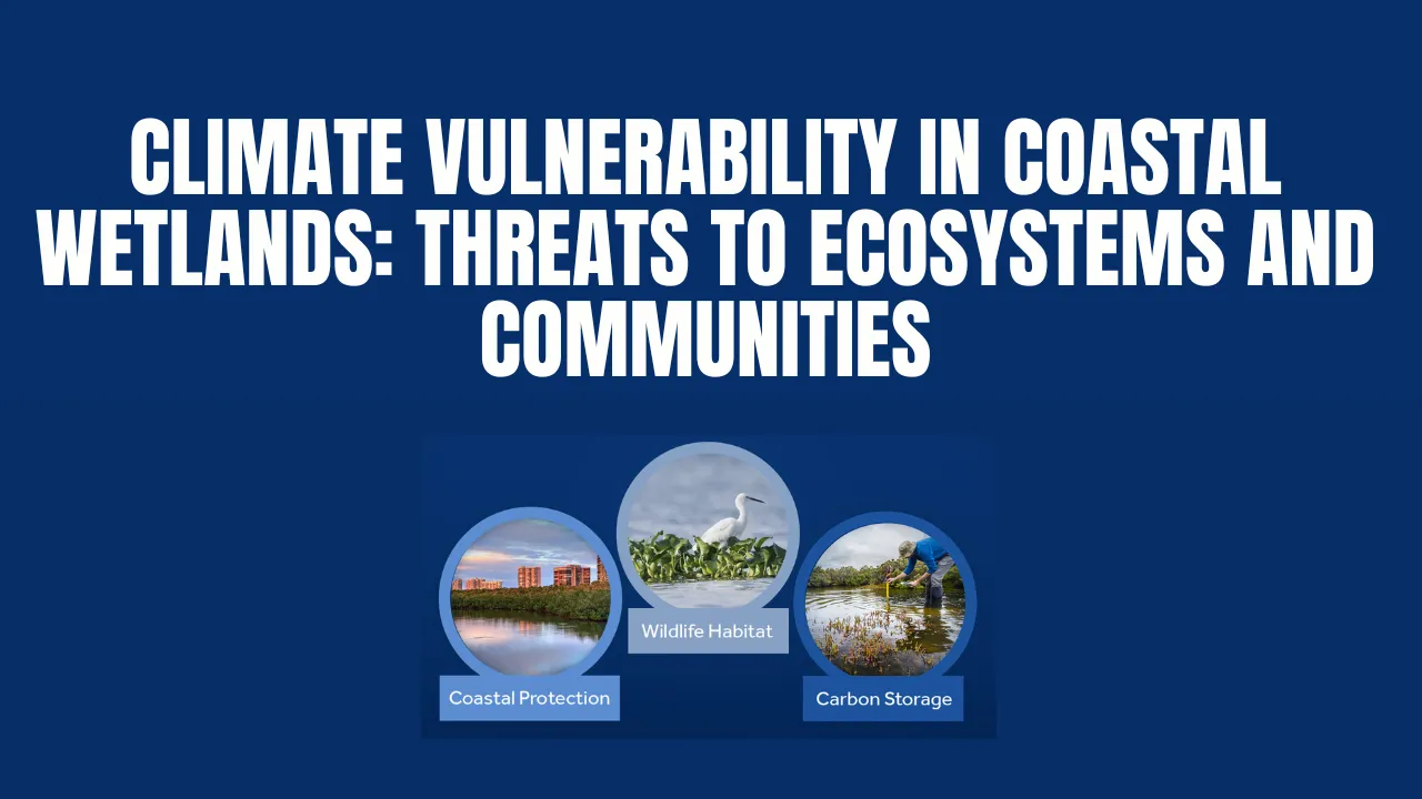 Climate Vulnerability in Coastal Wetlands: Threats to Ecosystems and Communities
