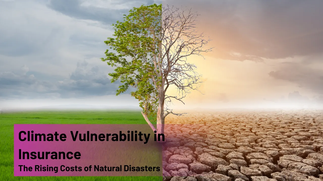 Climate Vulnerability in Insurance