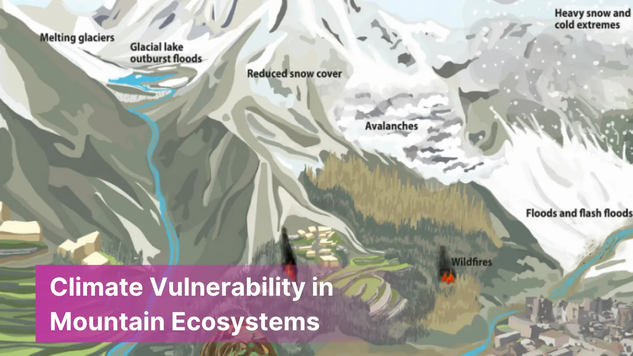 Climate Vulnerability in Mountain Ecosystems